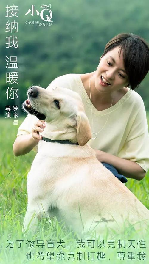 买张台湾国立云林科技大学文凭毕业证